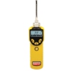 The RAE Systems MiniRAE 3000